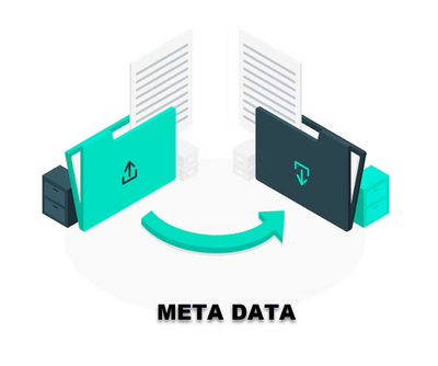 COBIT APO14.03 - Establish The Processes And Infrastructure For Metadata Management