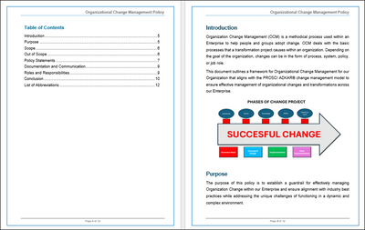 Organizational Change Management Policy Template